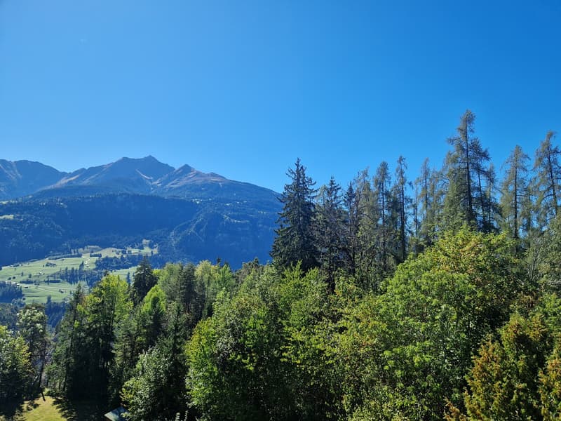 Einziartige Aussicht vom Balkon