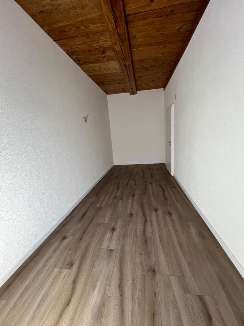 Neu renovierte 3.5 Zimmerwohnung mitten im Städtli (4)