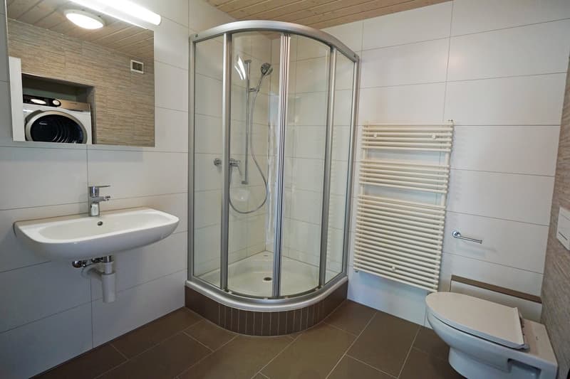 Spacious bathroom with a curved glass shower enclosure, a sink with vanity, a washing machine, and a towel warmer. The walls are tiled in a light color scheme, and the floor is covered in dark tiles.