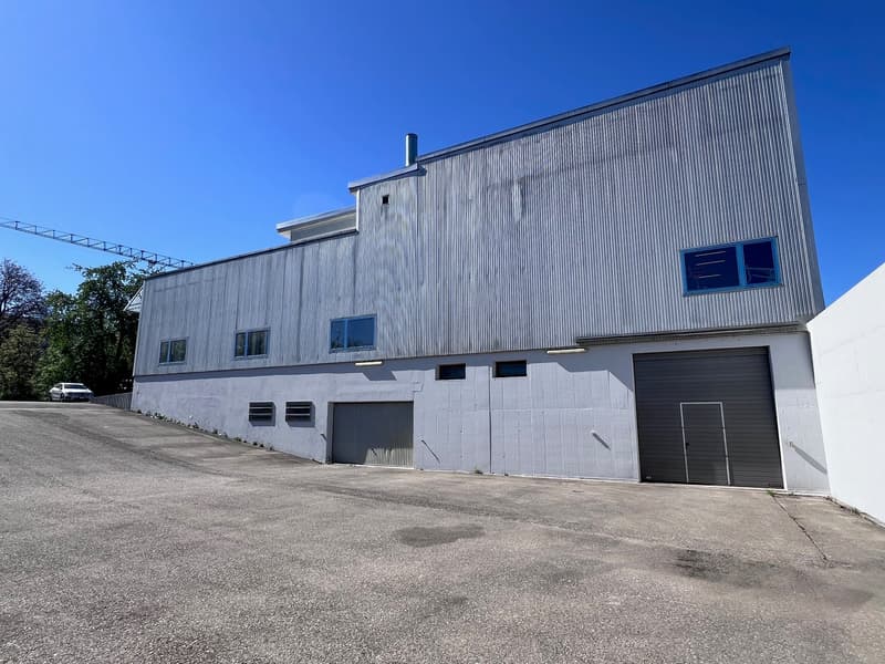 3137 m2 Gewerbe- & Lagerflächen zu vermieten in Wangen bei Olten (3)