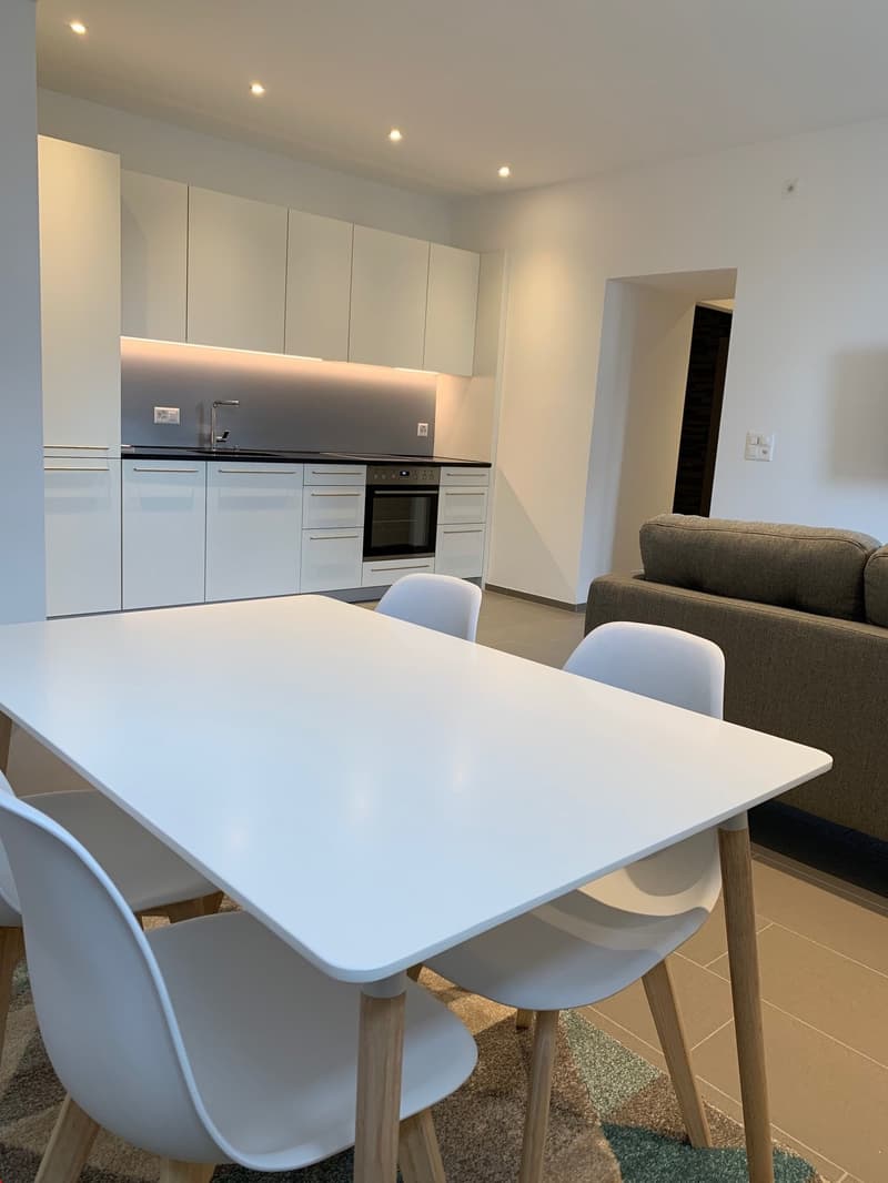 Renovierte 2.5-Zimmerwohnung - EG (Wohnung 7) (4)