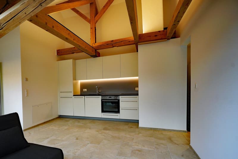 Renovierte 2.5-Zimmerwohnung - Dachgeschoss (Wohnung 5) (9)