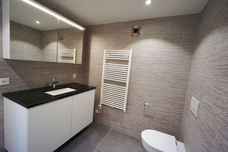 Renovierte 3.5-Zimmerwohnung - 1. OG (8)