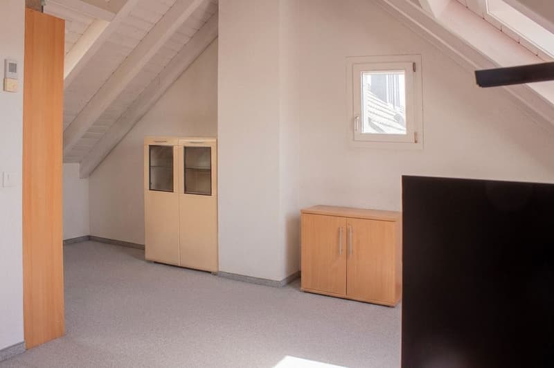 Drei Ebenen. 5.5 Zimmer. Unzählige Möglichkeiten. (6)