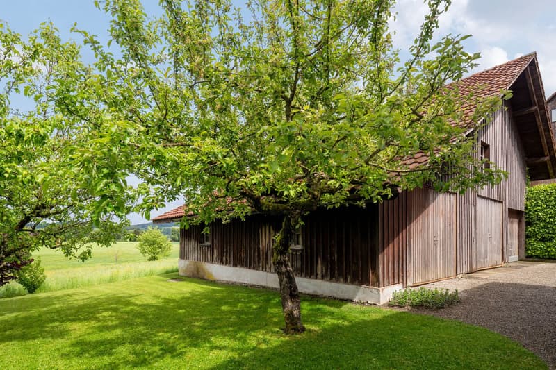 Bauparzelle mit Potenzial in Wildberg - 1'162 m² kaufen (4)