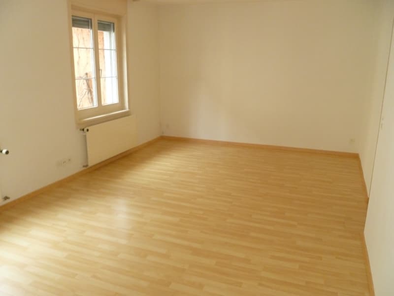Charmante Wohnung in der Schaffhauser Altstadt (2)