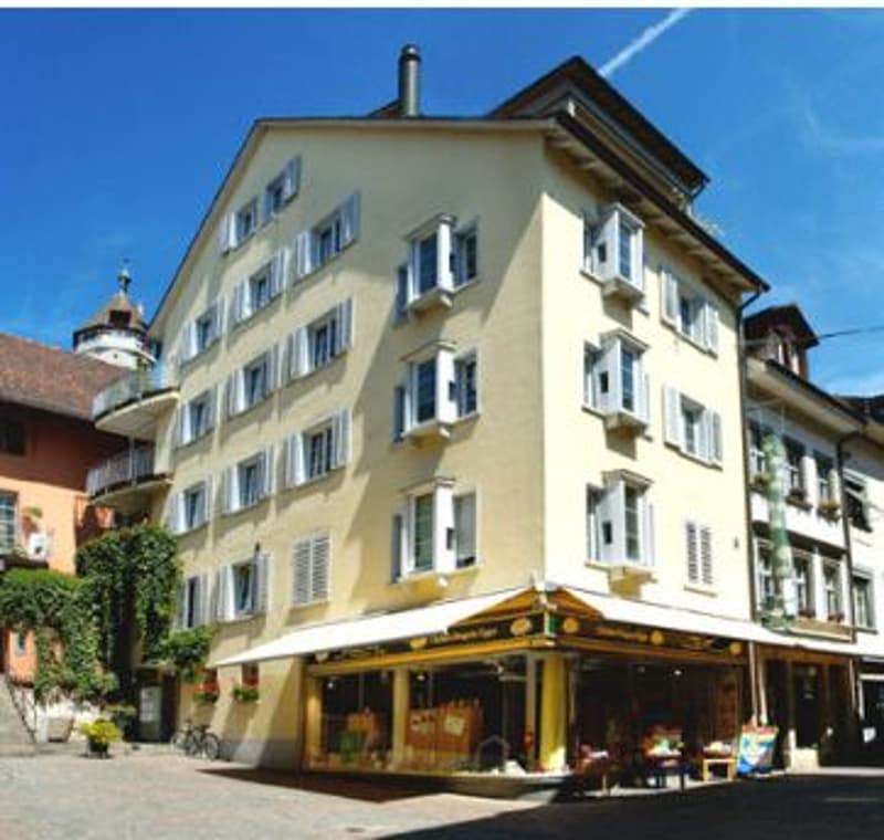 Charmante Wohnung in der Schaffhauser Altstadt (1)