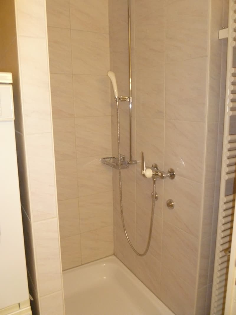 Charmante Wohnung in der Schaffhauser Altstadt (5)