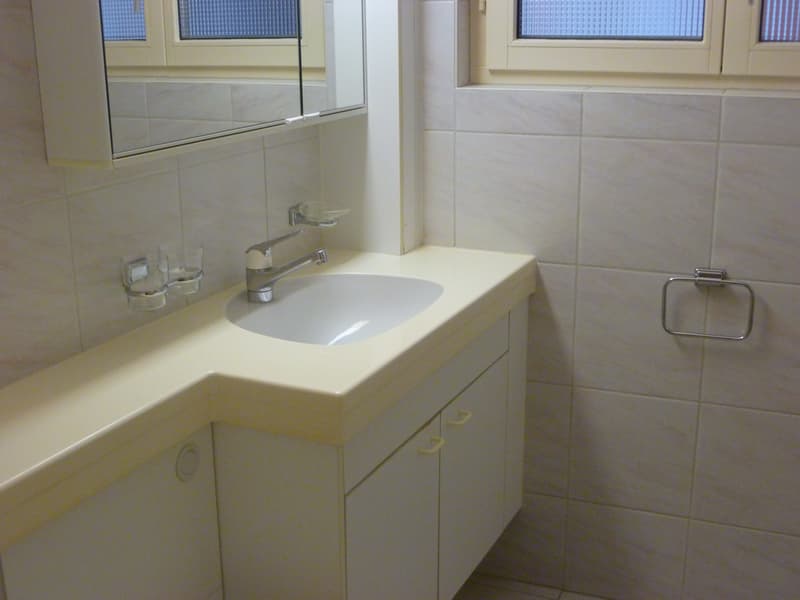 Charmante Wohnung in der Schaffhauser Altstadt (4)