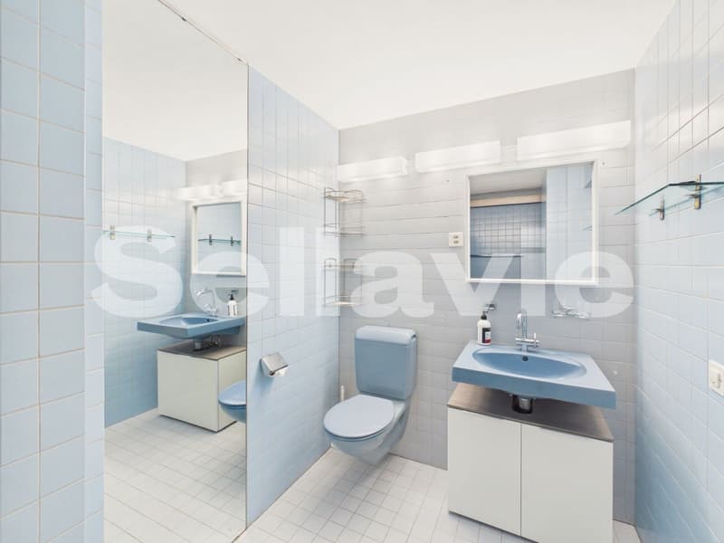 Exklusive Architekturperle in idyllischer Lage von Seewen! (10)