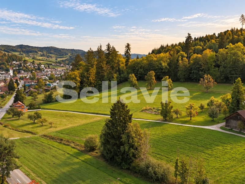 Liebe auf den ersten Blick: Ein Zuhause, das SOFORT überzeugt! (17)