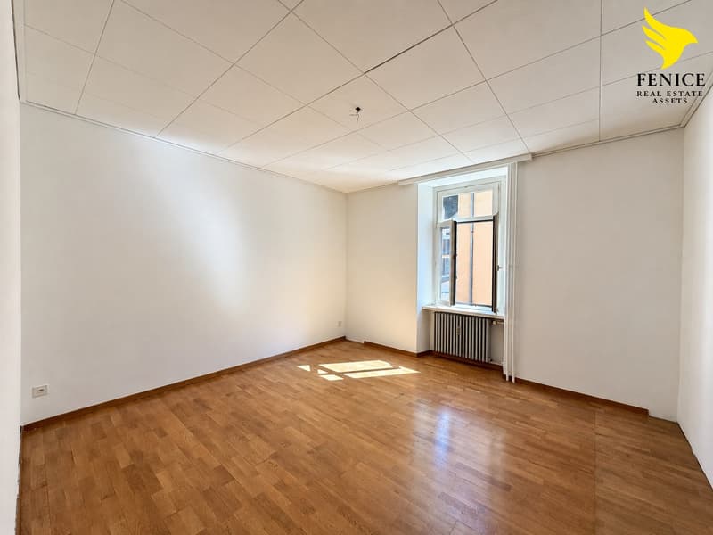 Luminoso appartamento di 4.5 locali a Bellinzona (3)