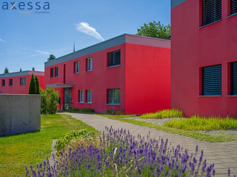 Sonnige 3.5 Zimmerwohnung im Obergeschoss mit Südbalkon in Fischbach-Göslikon (4)