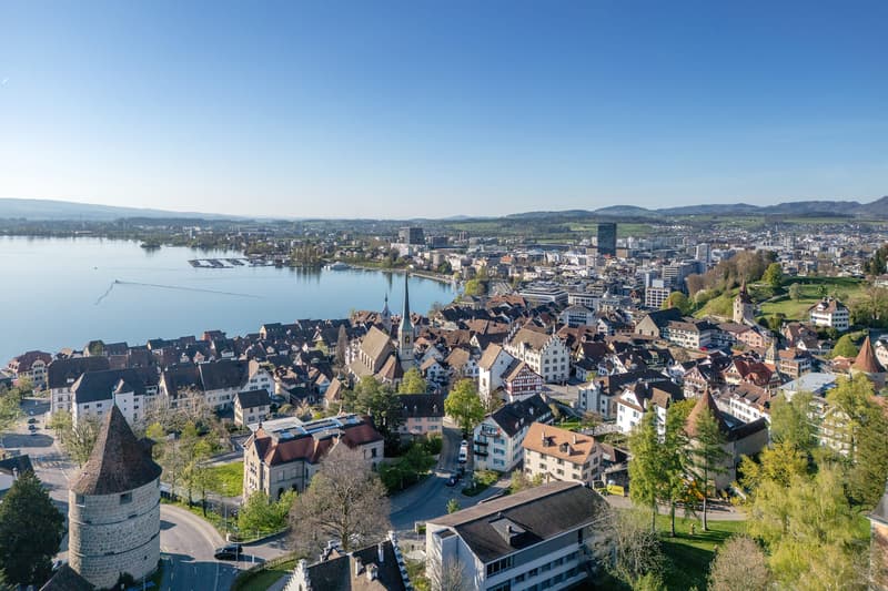 Repräsentative Stadtvilla der Extraklasse in Zug (2)