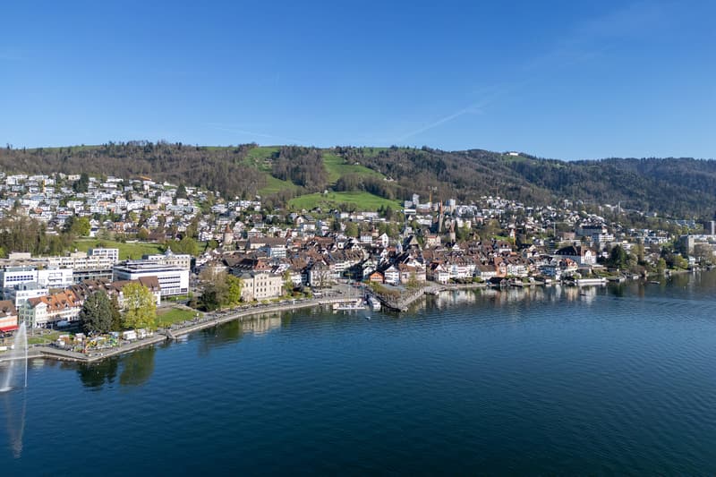 Repräsentative Stadtvilla der Extraklasse in Zug (2)