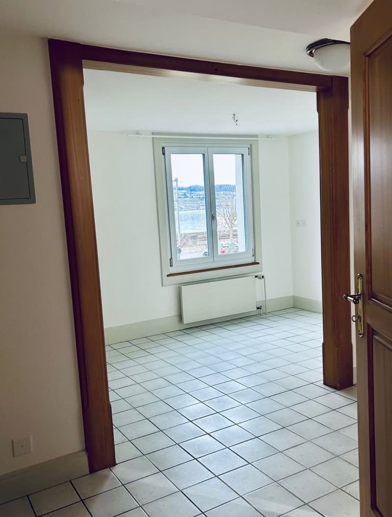 Gemütliche Wohnung mit malerischer Aussicht in Wädenswil – ab 01.10.2026 (4)