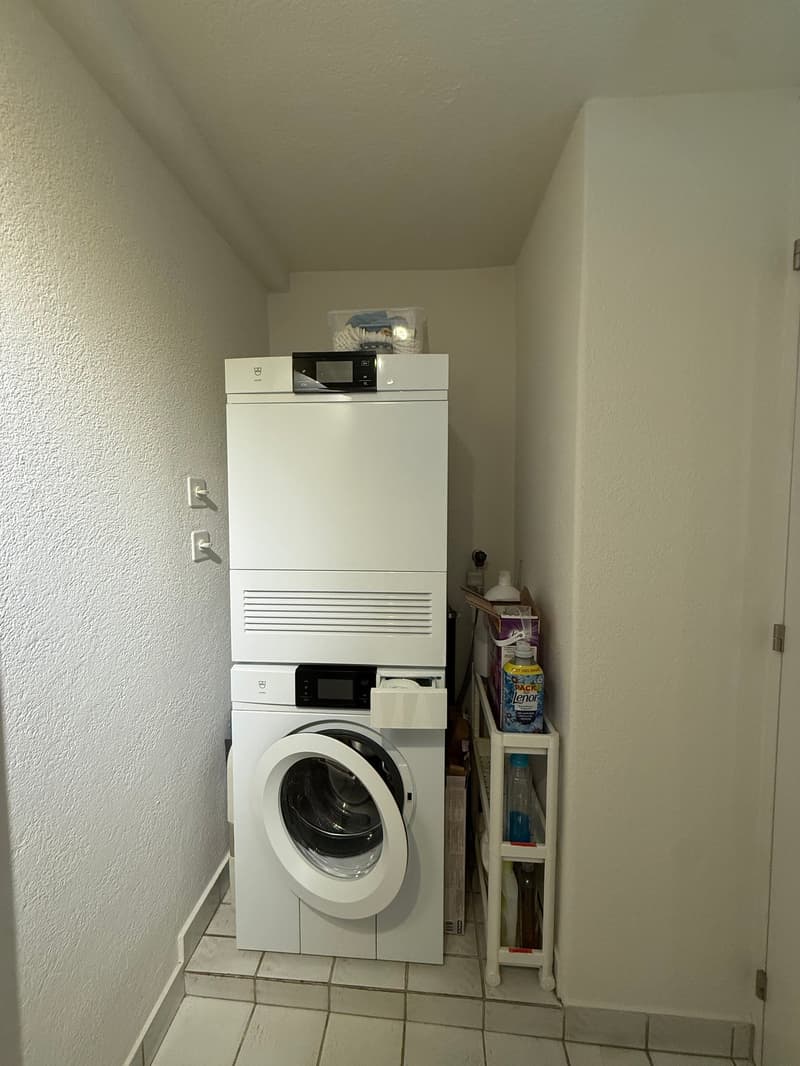 Gemütliche Wohnung mit malerischer Aussicht in Wädenswil – ab 01.10.2026 (12)
