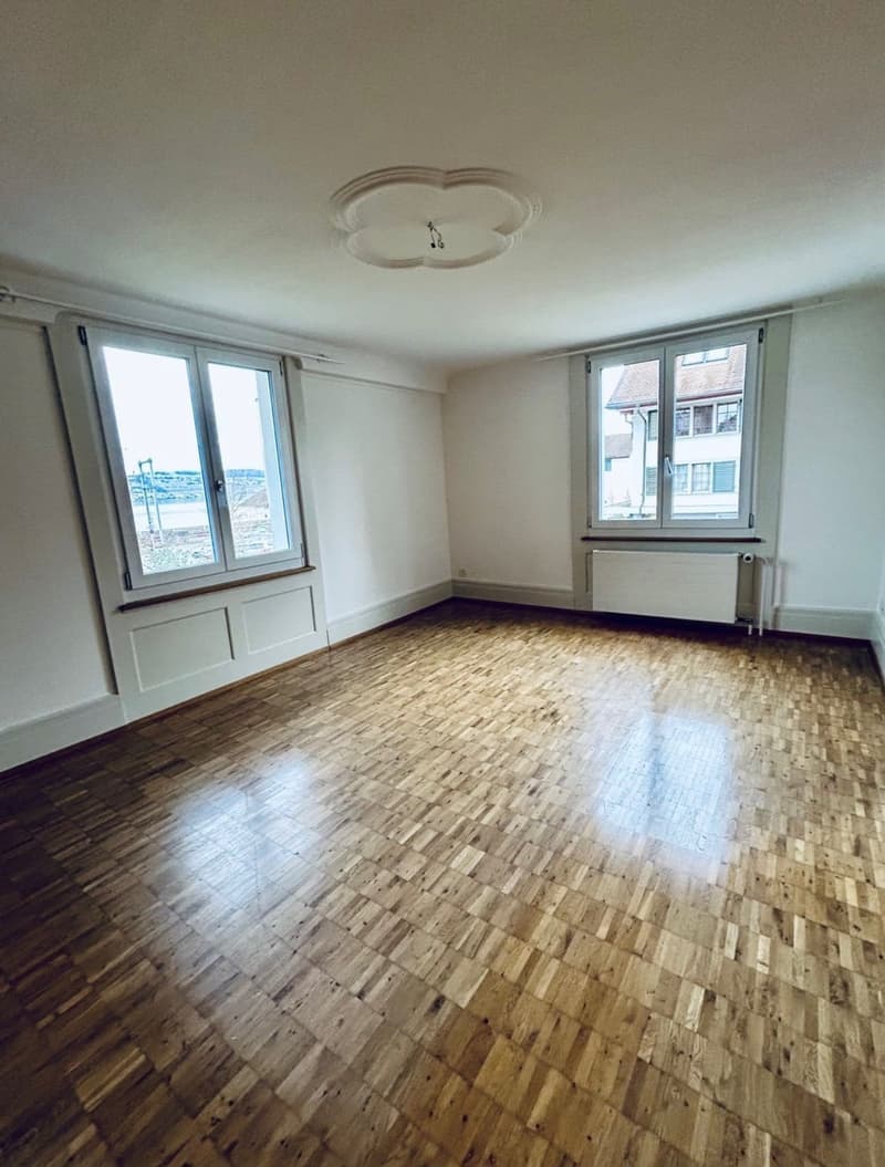 Gemütliche Wohnung mit malerischer Aussicht in Wädenswil – ab 01.10.2026 (8)