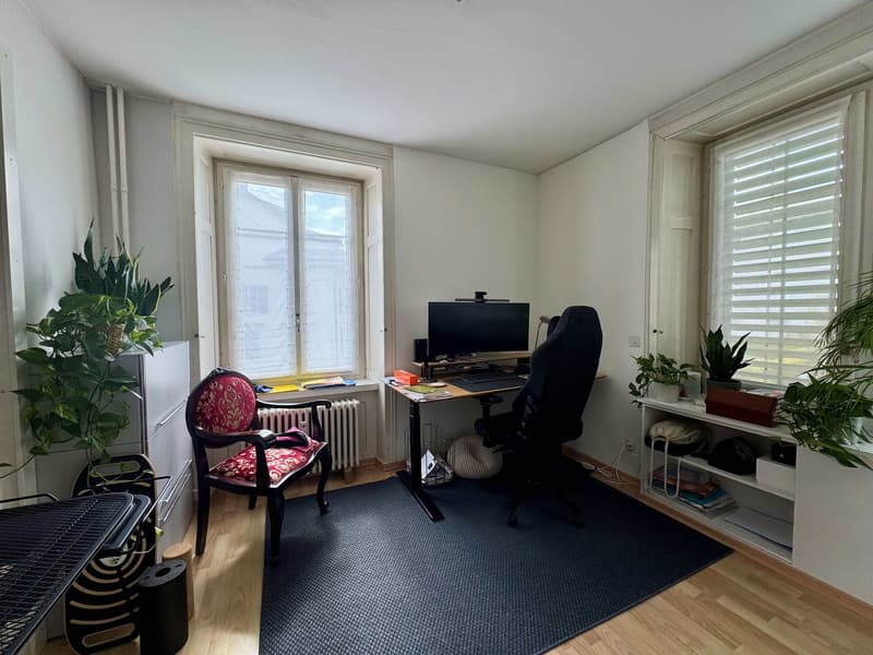 Charmante 5-Zimmer-Wohnung mit Terrasse im Zentrum von Wädenswil (2)