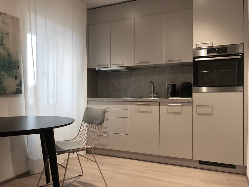 Charmantes möbliertes 1-Zimmer-Apartment im Herzen von Zürich (2)
