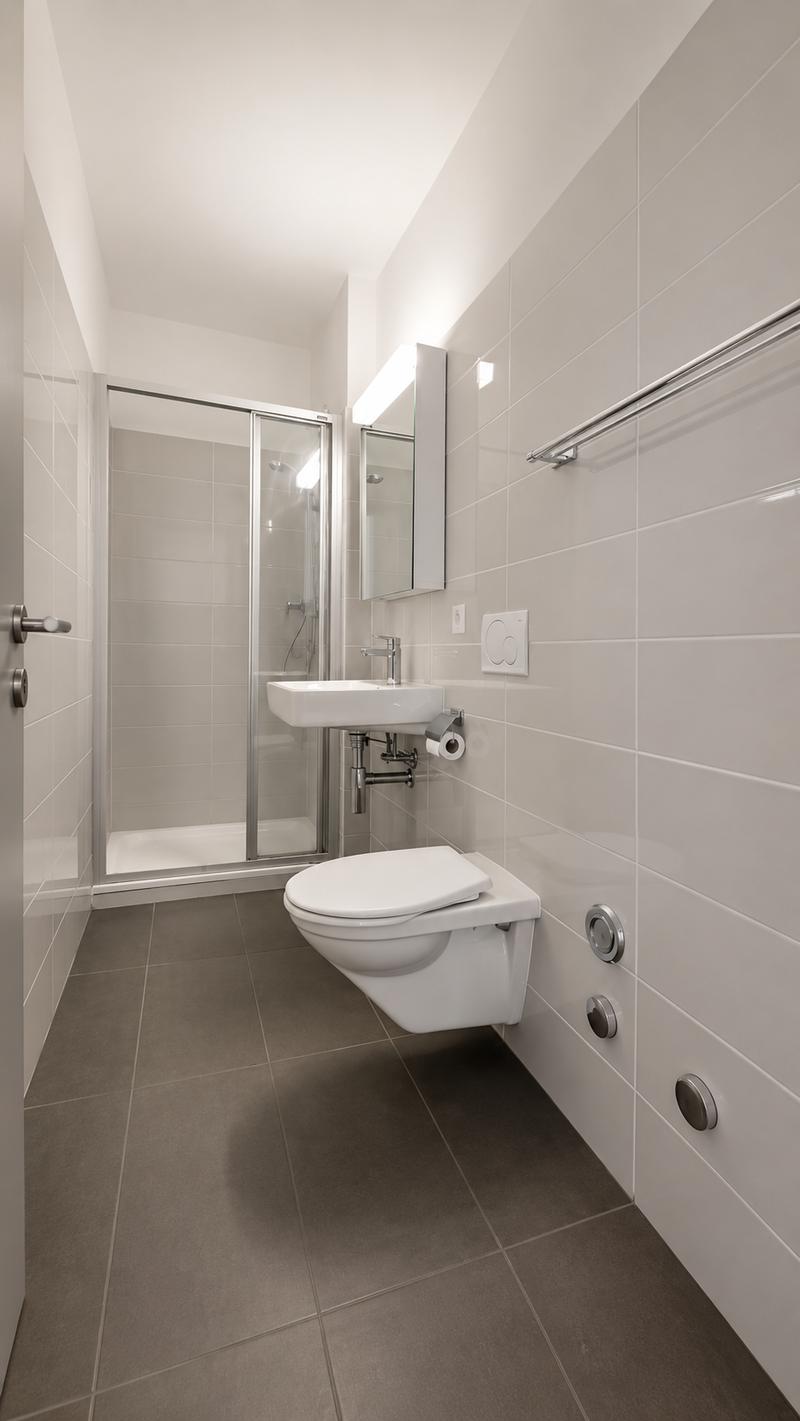 Appartement de 4.5 pièces avec roof top en terrace / Vevey (12)