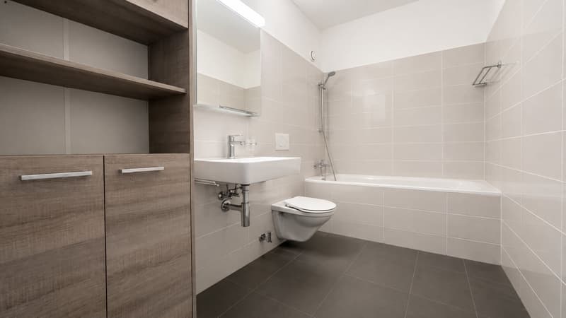 Appartement de 4.5 pièces avec roof top en terrace / Vevey (10)
