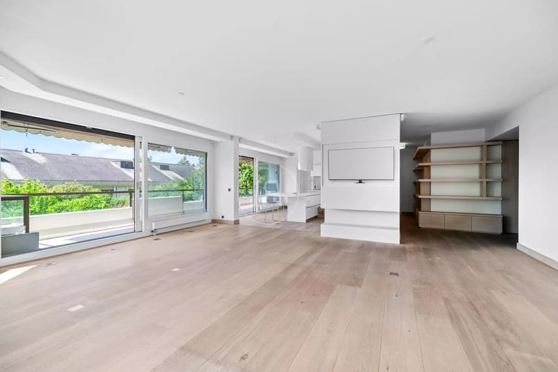 Beautiful 6,5 rooms duplex, pool, garden in the heart of Champel (5)