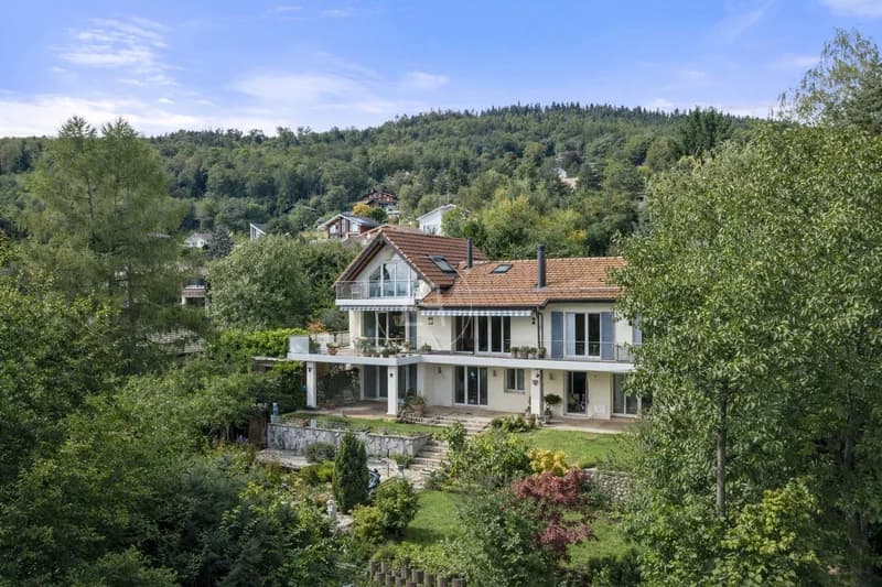 Charming property with exceptional views in Arzier le Muids (3)