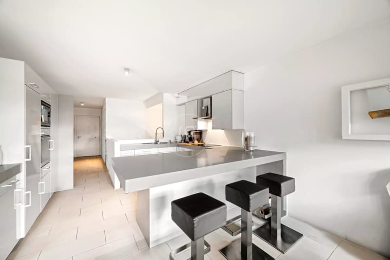 Beautiful turnkey apartment with terrace and garden in South Pully (3)