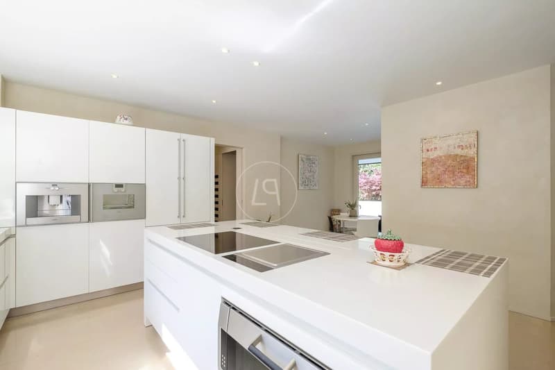 Private and nuisance-free architect-designed property, Conches (GE) (5)