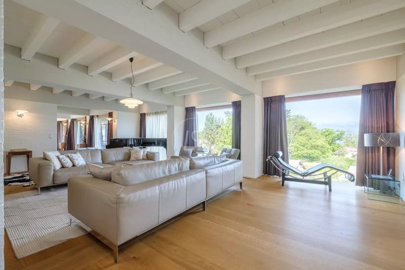 Unique architect-designed villa, lake view, spa, pool, , Left Bank (4)