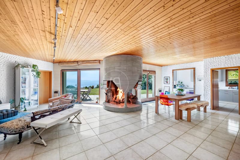 Charming property with 180 view in Arzier-Le Muids (4)
