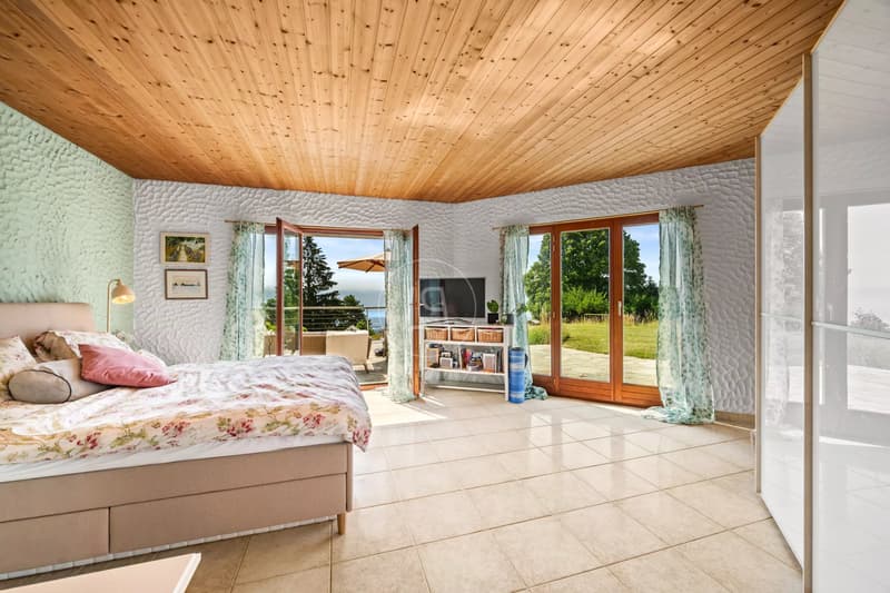Charming property with 180 view in Arzier-Le Muids (10)