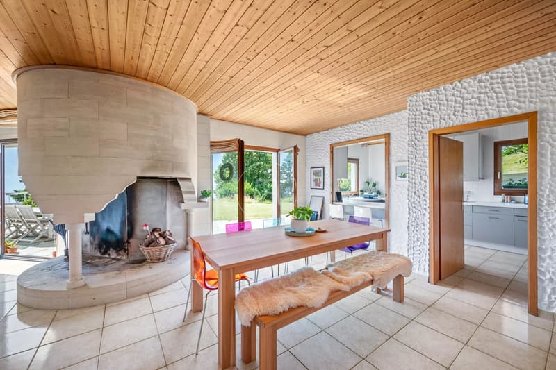 Charming property with 180 view in Arzier-Le Muids (6)