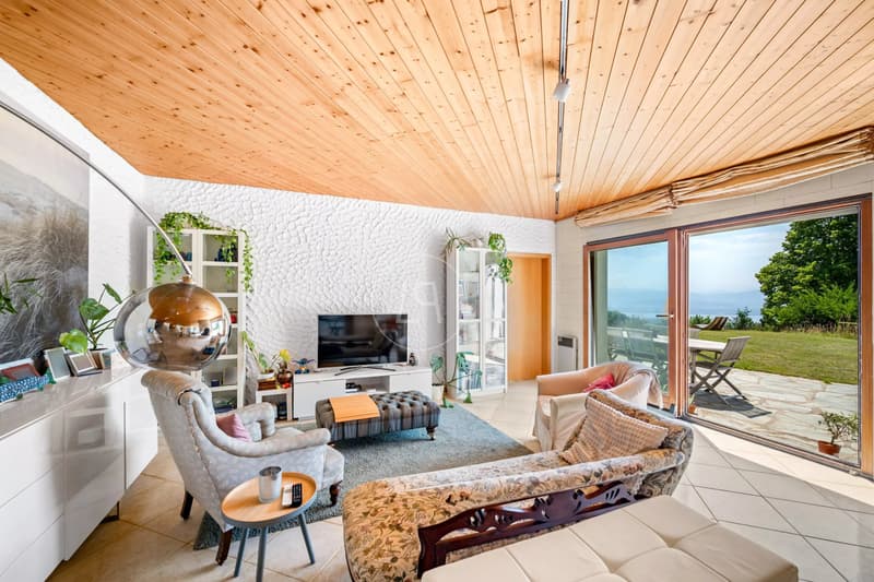 Charming property with 180 view in Arzier-Le Muids (5)