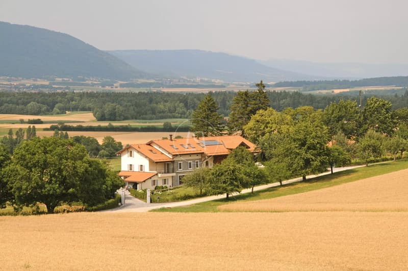 Elegant renovated farmhouse with swimming pool, Essertines-sur-Rolle (13)