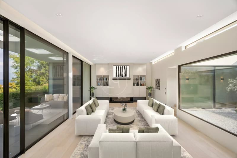 Villa contemporaine d'exception, vue et accès privé au lac,rive gauche (6)
