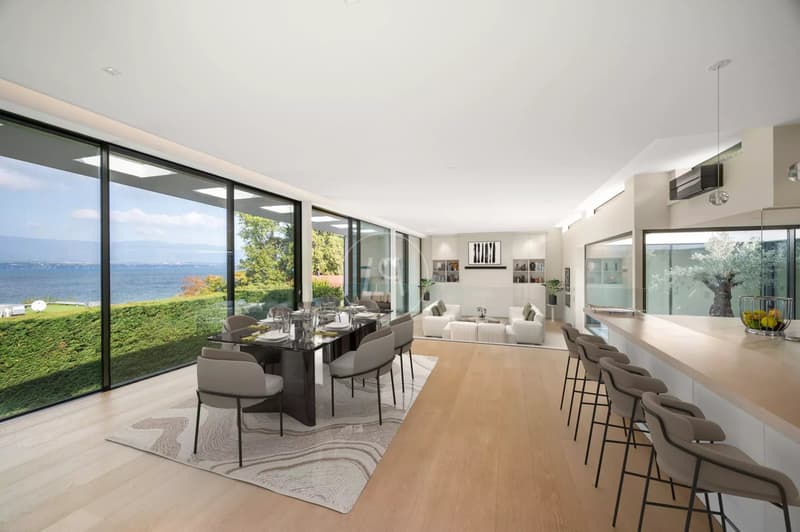 Villa contemporaine d'exception, vue et accès privé au lac,rive gauche (4)