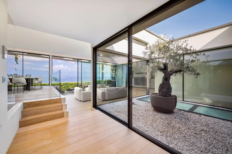 Villa contemporaine d'exception, vue et accès privé au lac,rive gauche (3)