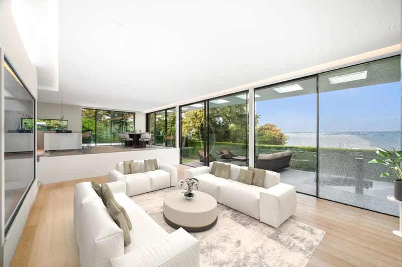 Villa contemporaine d'exception, vue et accès privé au lac,rive gauche (5)