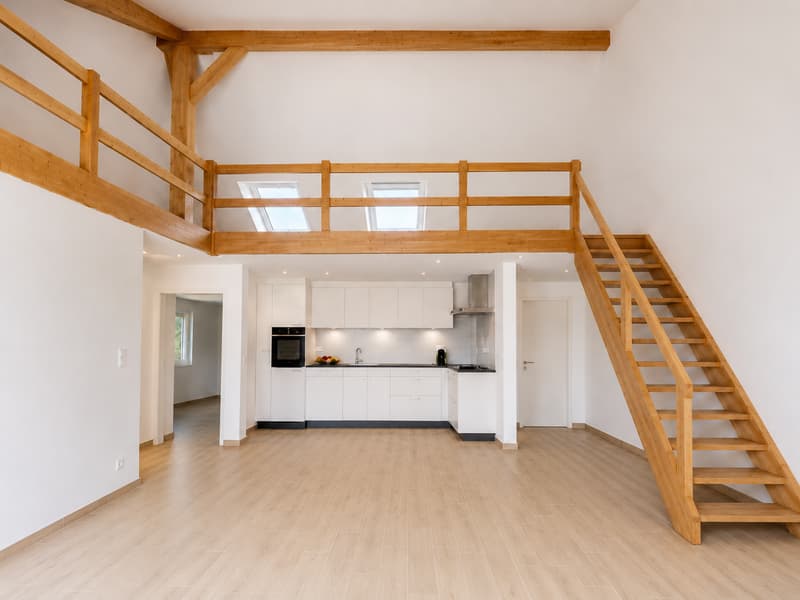Magnifique duplex neuf de 4.5 pièces à Cornaux (1)