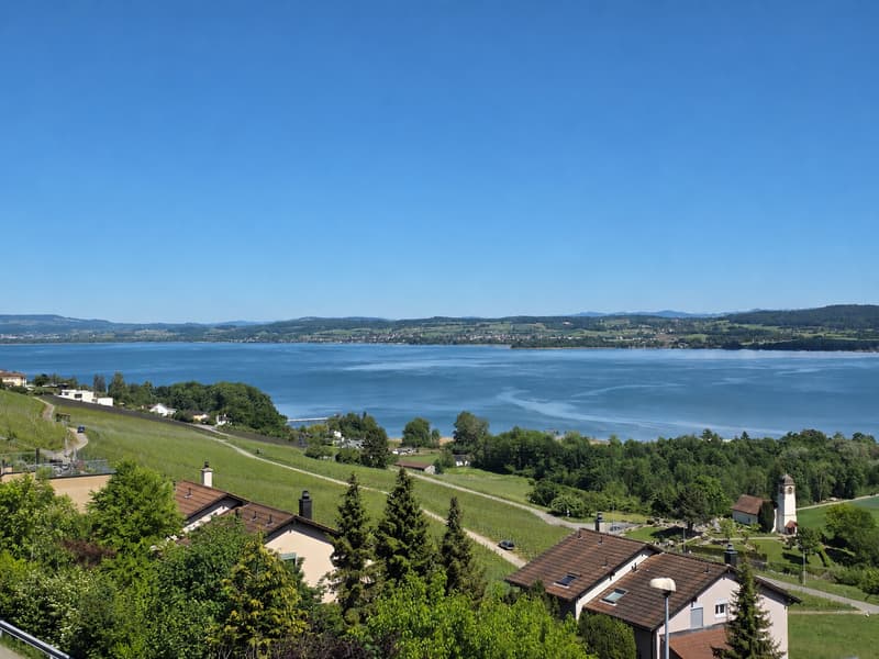 Appartement de 4.5 pièces avec vue lac à Vully-les-Lacs (2)