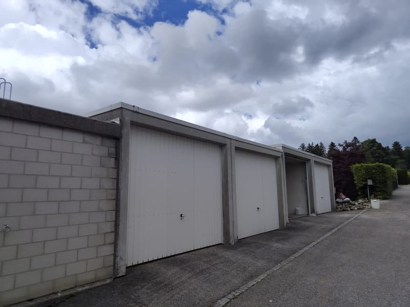 Maison contiguë triplex spacieuse et lumineuse à La Chaux-de-Fonds (10)