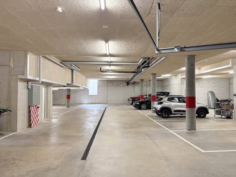 Moderne 4.5-Zimmer-Neubauwohnung im Erdgeschoss in Frutigen (24)