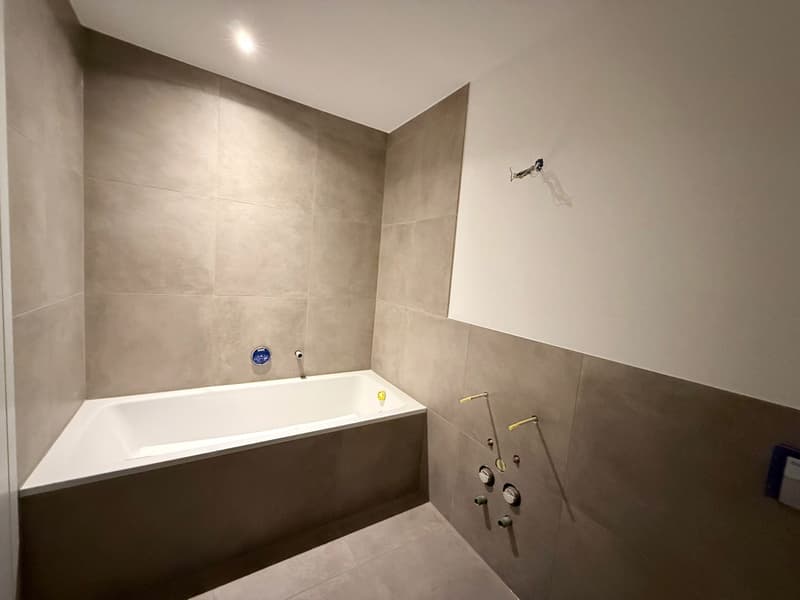 Moderne 4.5-Zimmer-Neubauwohnung im Erdgeschoss in Frutigen (11)