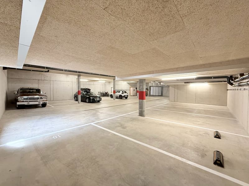 3.5 Zimmer-Erdgeschosswohnung Neubau (14)