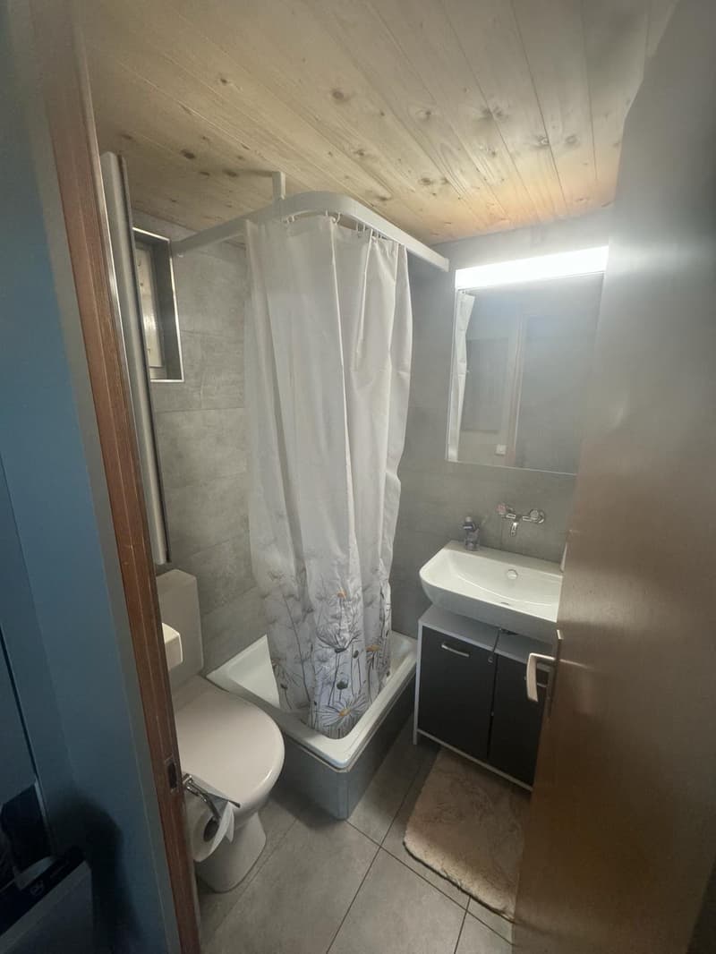 Gemütliche 2.5-Zimmer-Wohnung im Erdgeschoss in Frutigen (10)