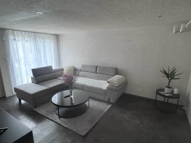 Gemütliche 2.5-Zimmer-Wohnung im Erdgeschoss in Frutigen (2)