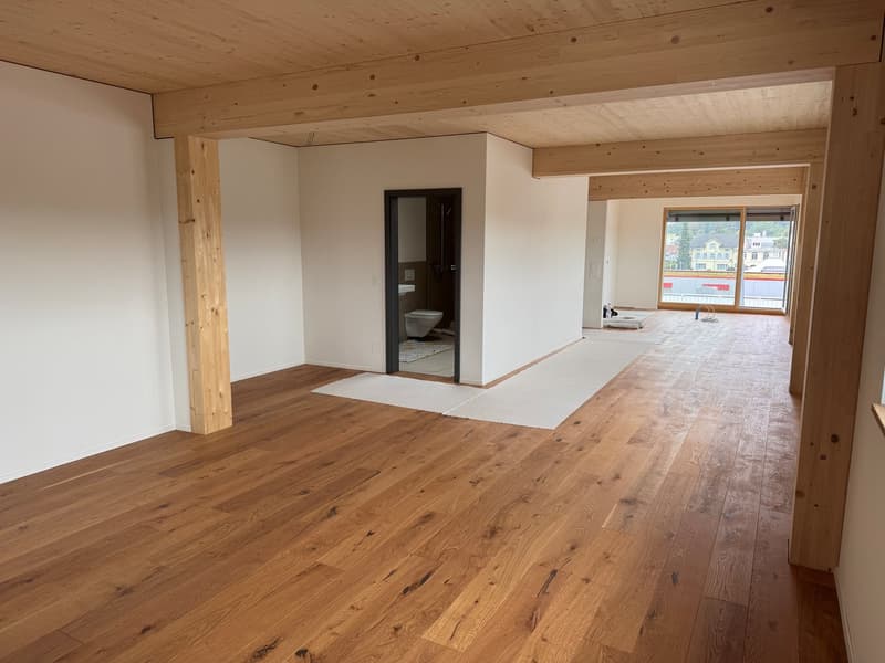 3.5-Zimmer-Attikawohnunng mit Sommerkühlung zu vermieten (15)