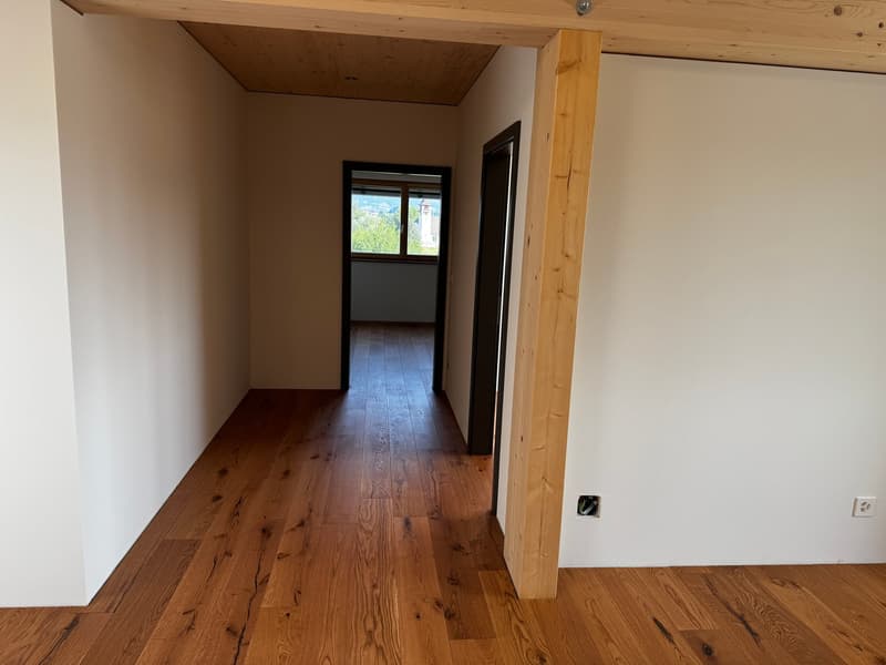 3.5-Zimmer-Attikawohnung mit Sommerkühlung zu vermieten (12)